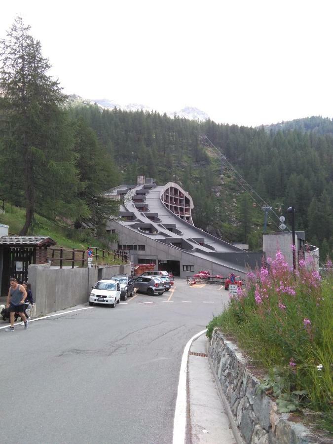 Soldanella Cervinia Apartment Vda Vacanze In Vetta Cir 0253 ブレウイル・チェルヴィナイア エクステリア 写真