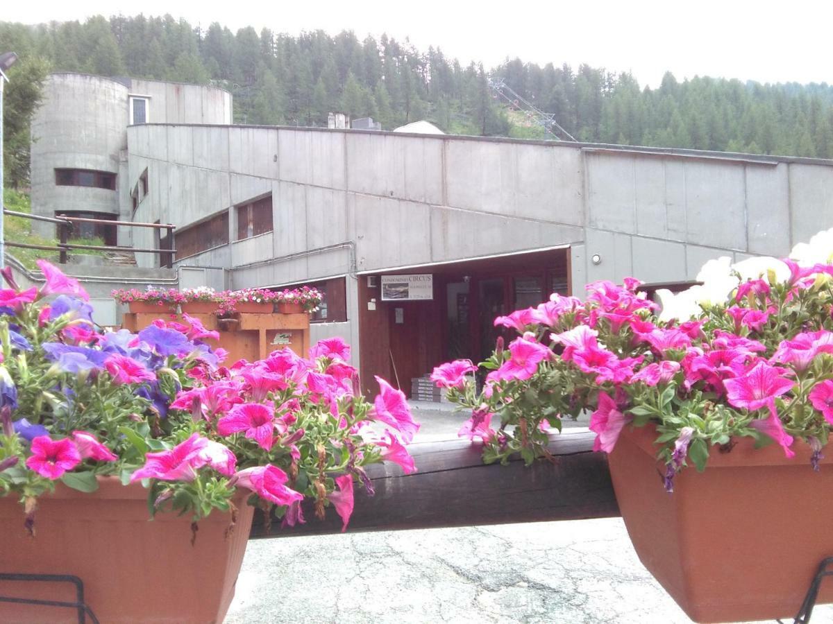 Soldanella Cervinia Apartment Vda Vacanze In Vetta Cir 0253 ブレウイル・チェルヴィナイア エクステリア 写真