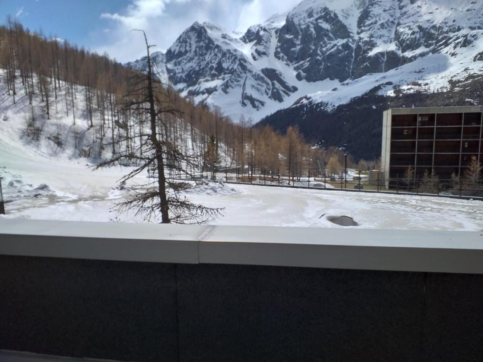 Soldanella Cervinia Apartment Vda Vacanze In Vetta Cir 0253 ブレウイル・チェルヴィナイア エクステリア 写真