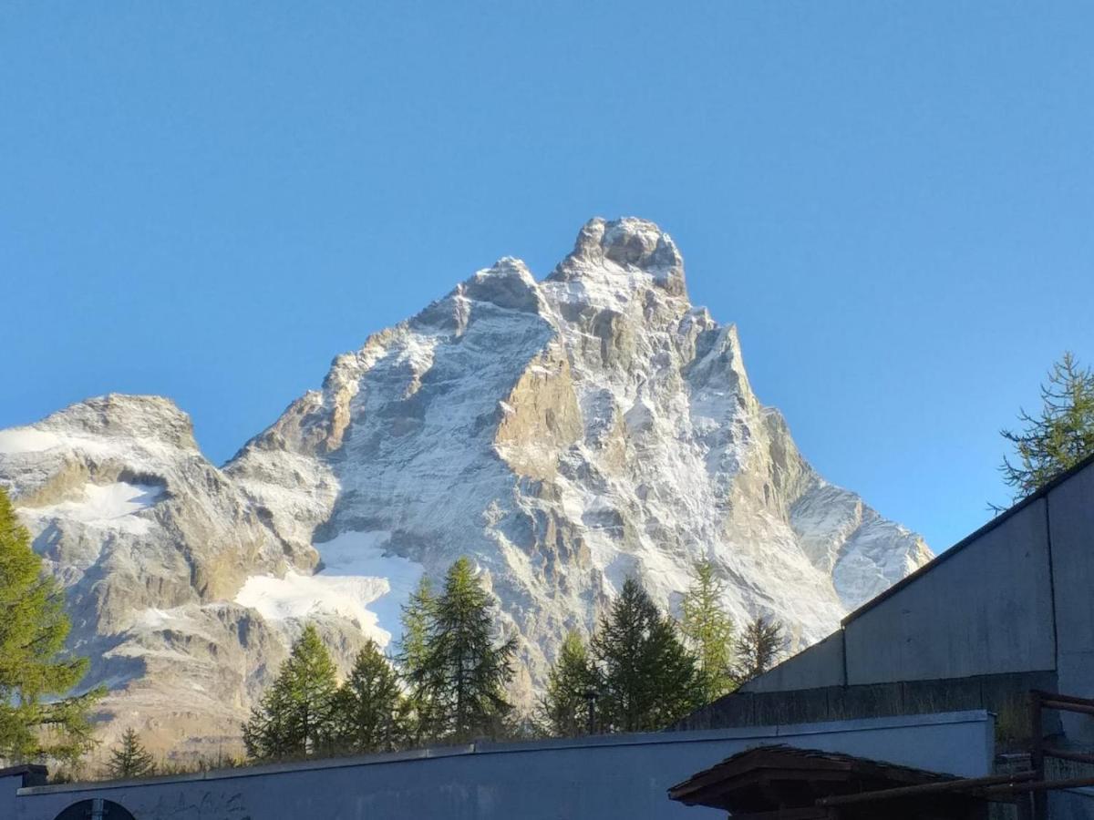Soldanella Cervinia Apartment Vda Vacanze In Vetta Cir 0253 ブレウイル・チェルヴィナイア エクステリア 写真