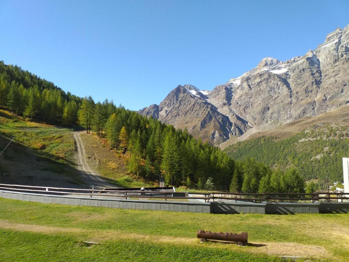 Soldanella Cervinia Apartment Vda Vacanze In Vetta Cir 0253 ブレウイル・チェルヴィナイア エクステリア 写真